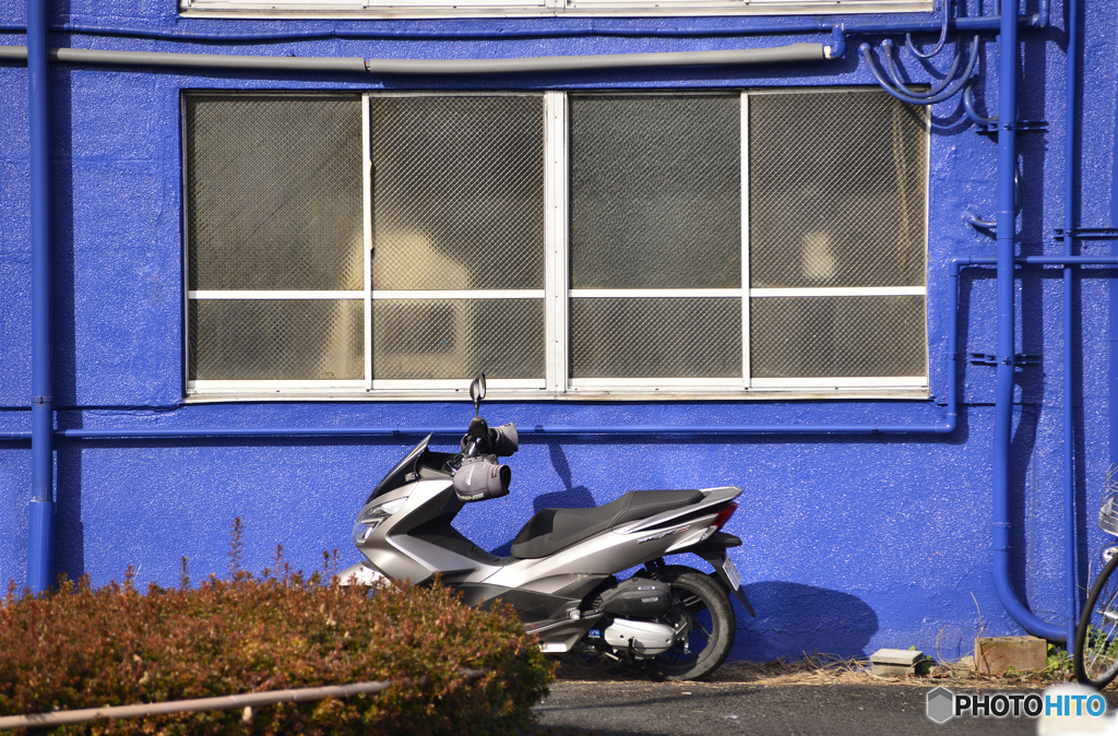 専用駐車場は青色