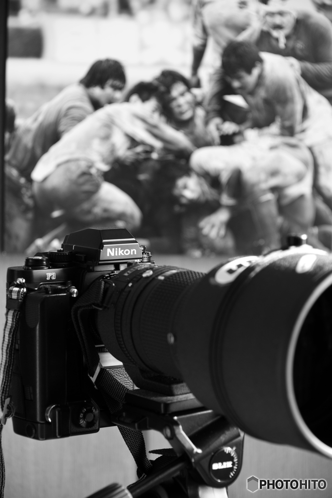 虫干ししましょ！----③