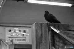 JR鶴見線・国道駅---⑧