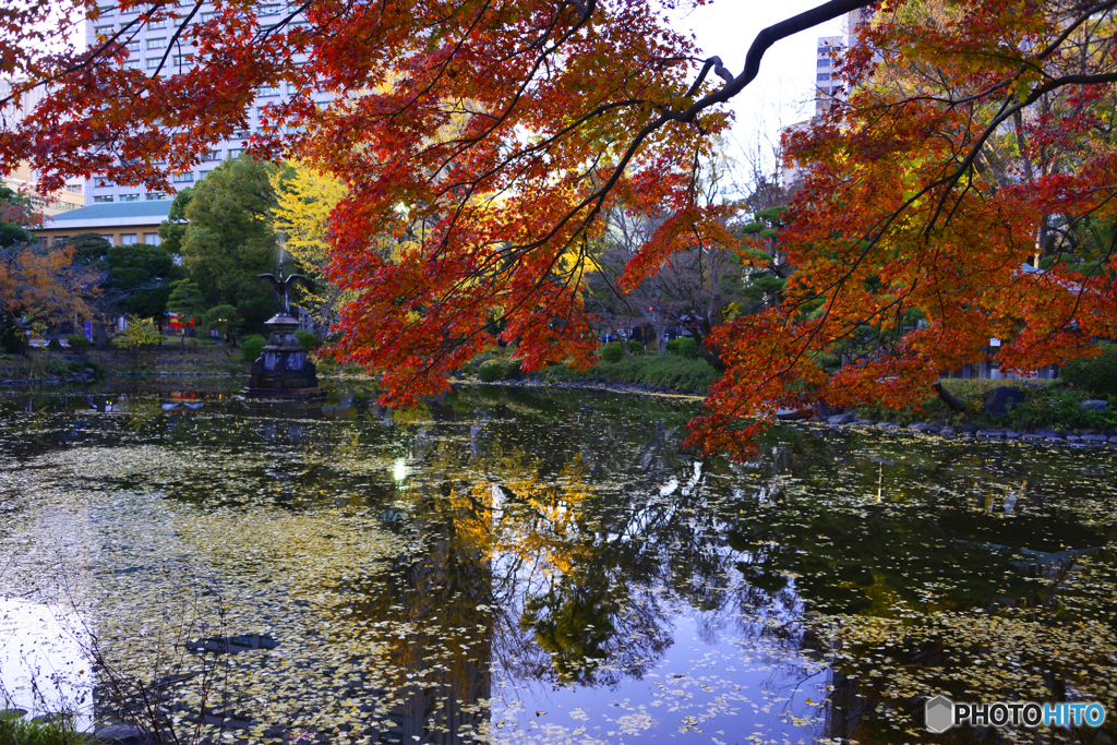 日比谷公園にて秋景----⑨