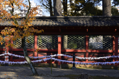 根津神社---④