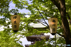 鰻がおすすめ！