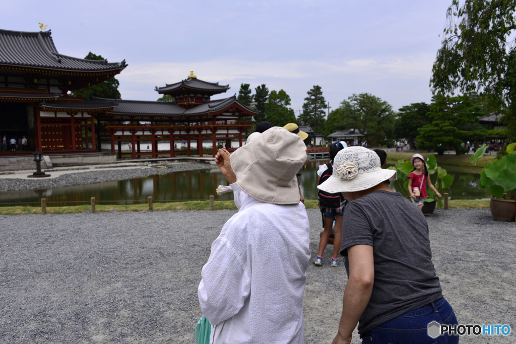 京都(宇治)・平等院---②