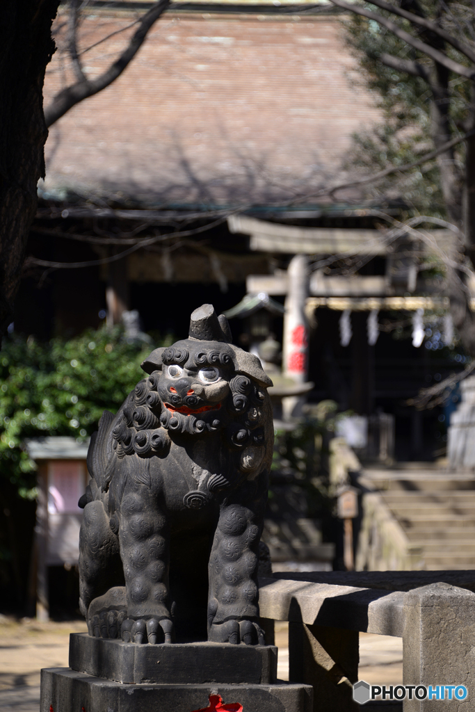 谷根千ぶらぶらカメラ散歩----(9)