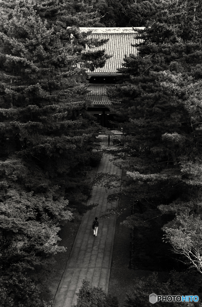 南禅寺・夏