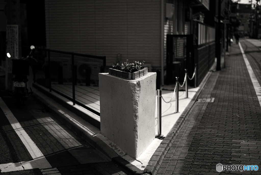 右か？左か？運命の分かれ道！