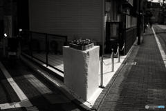 右か？左か？運命の分かれ道！