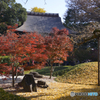 九品仏浄真寺の紅葉---最終回