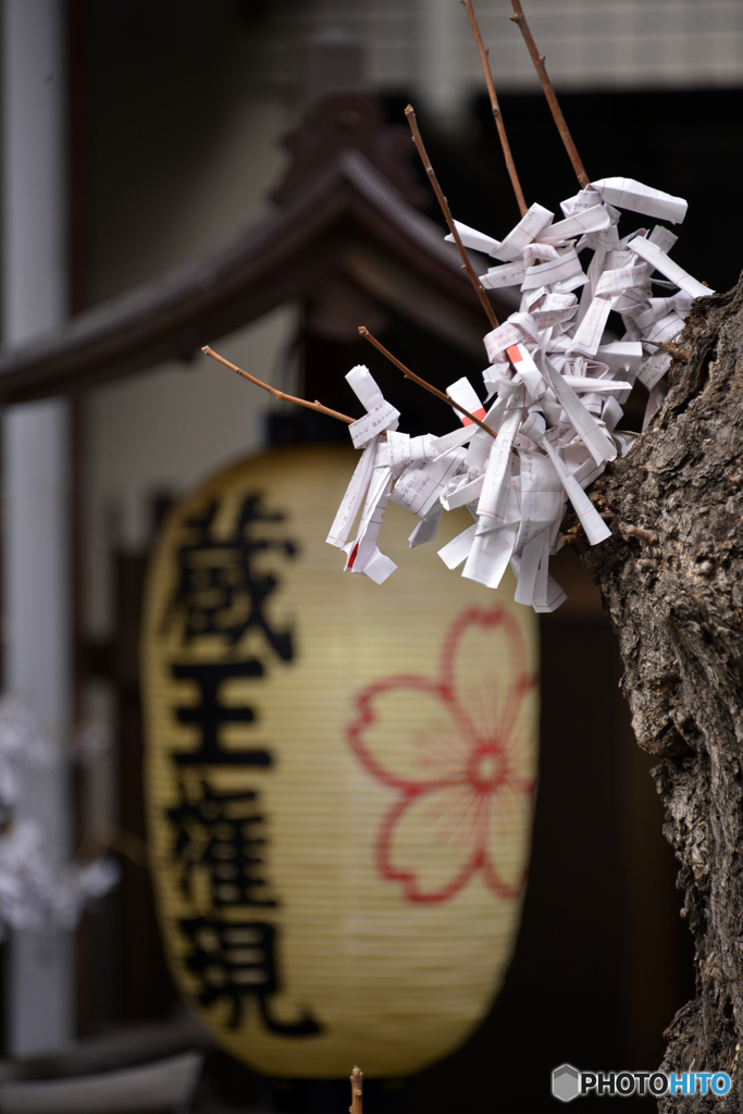 「荏原七福神巡り」にて---①