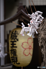「荏原七福神巡り」にて---①