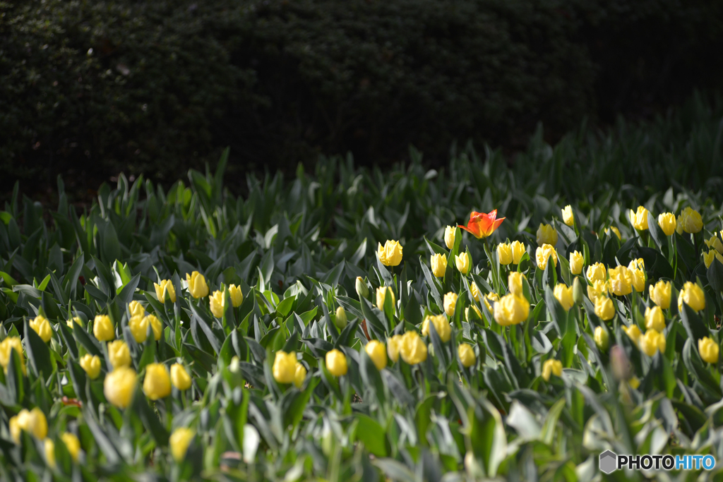 一人高みを目指して・・