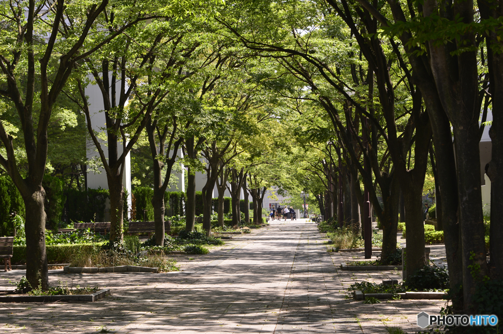 夏神戸寸景---23