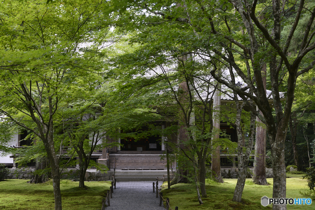 京都・大原寸景---②