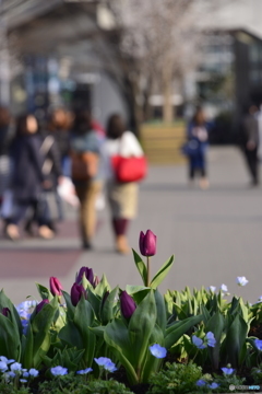 小春日和---①