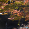 九品仏浄真寺の紅葉---⑫