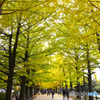 黄色い幸せ時間
