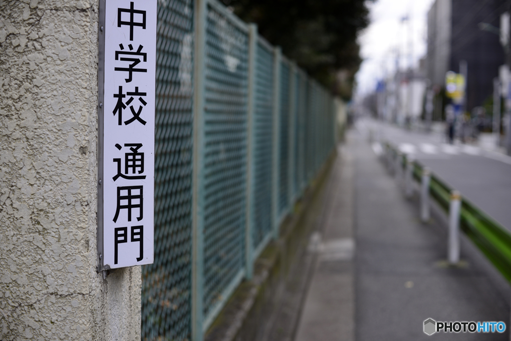 初めはバレーボール部だった