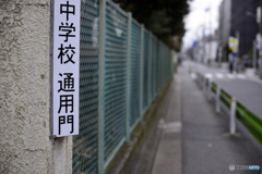 初めはバレーボール部だった