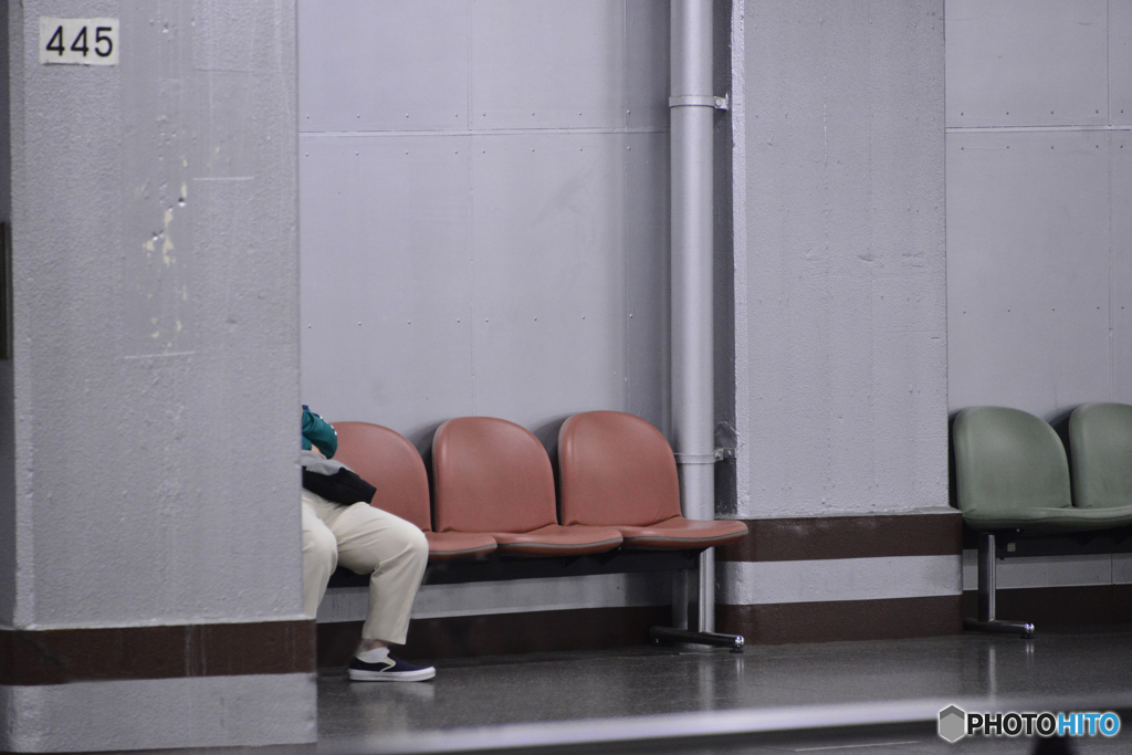 「445」