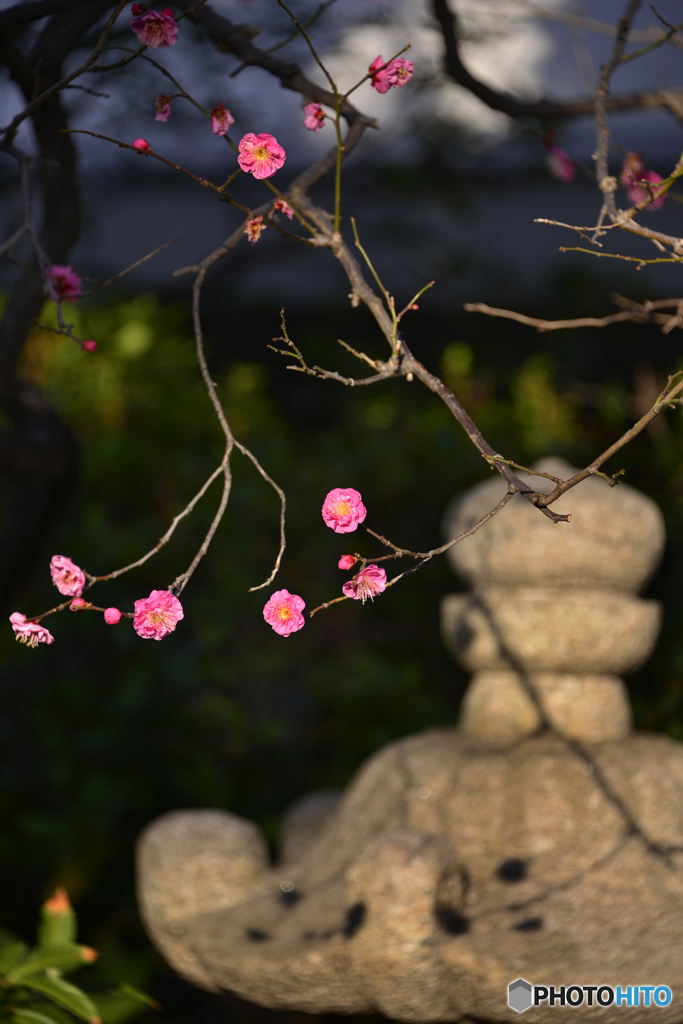 「荏原七福神巡り」にて---④