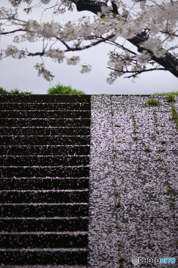 風の残したもの