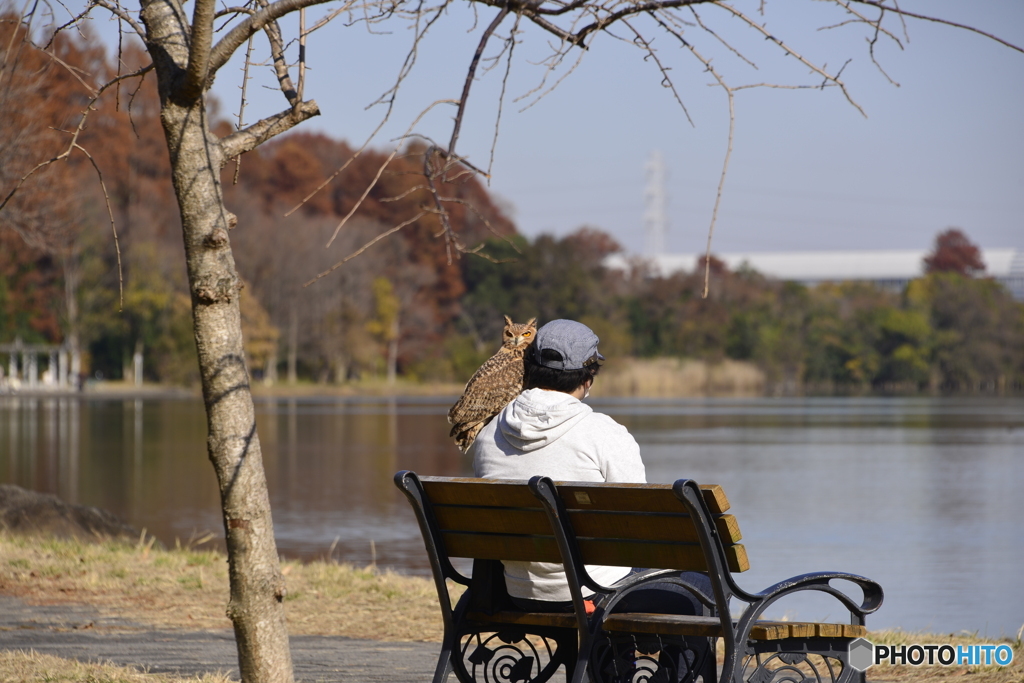 公園の秋----⑩