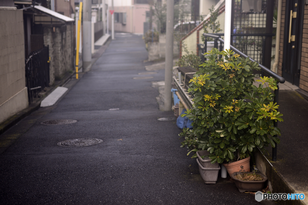 雨上がり----湿気を含んだ路地