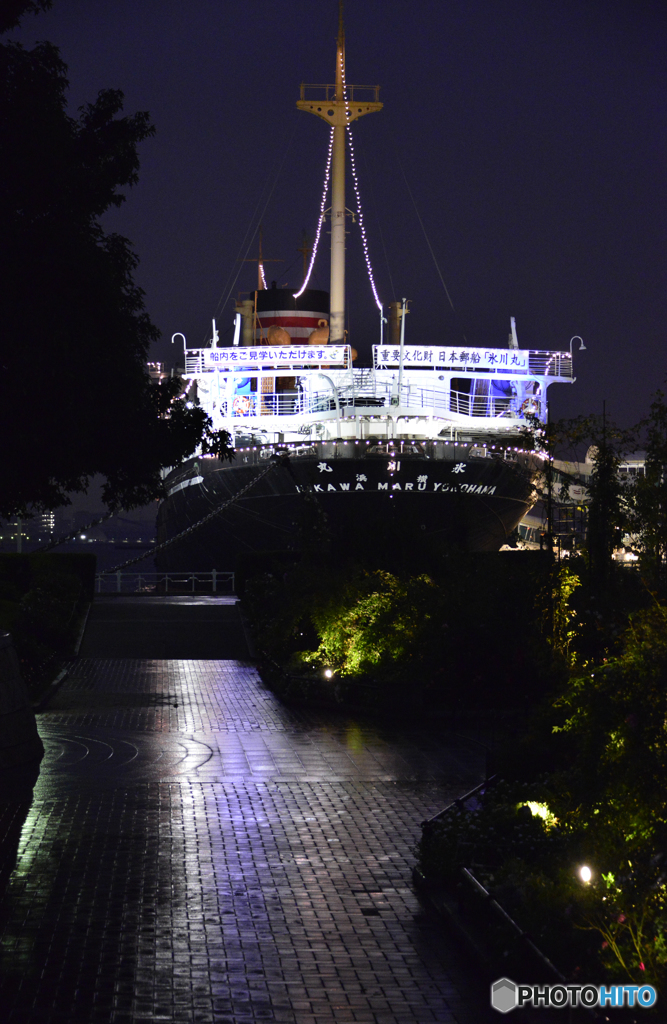 雨の夜景---①