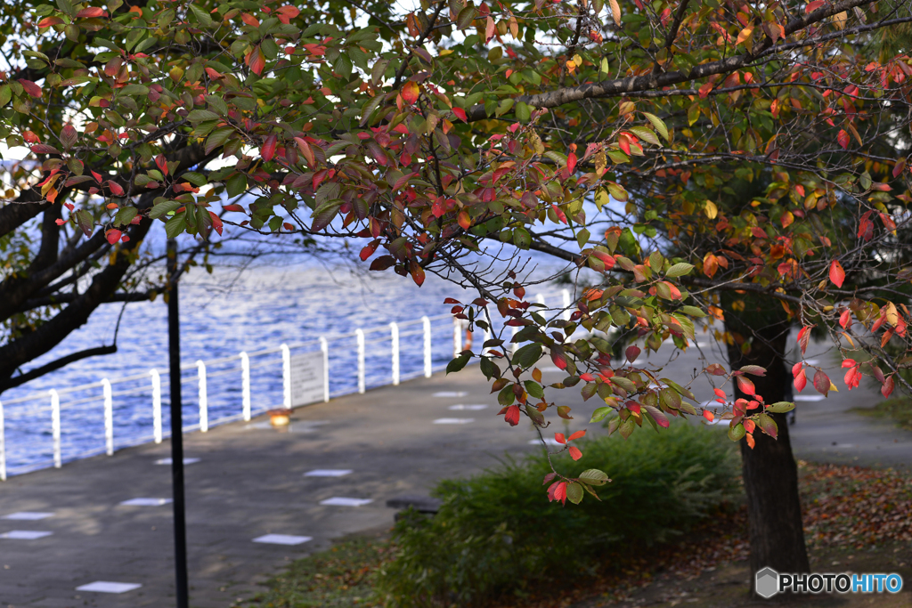 秋・街角----(24)