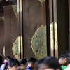 神宮の森---⑤