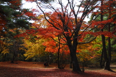 群馬・伊香保にて