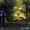 九品仏浄真寺の紅葉---④