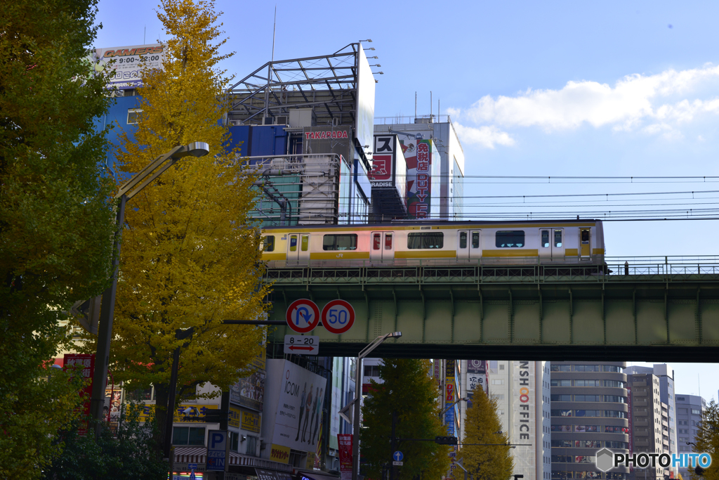 秋・葉原---②