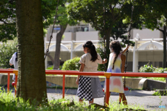 ご近所散歩---親友のタマゴ