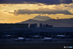 冬・夕暮れ・羽田空港----③