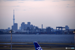 早朝の羽田空港----③