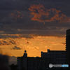 多摩川夕景----⑤