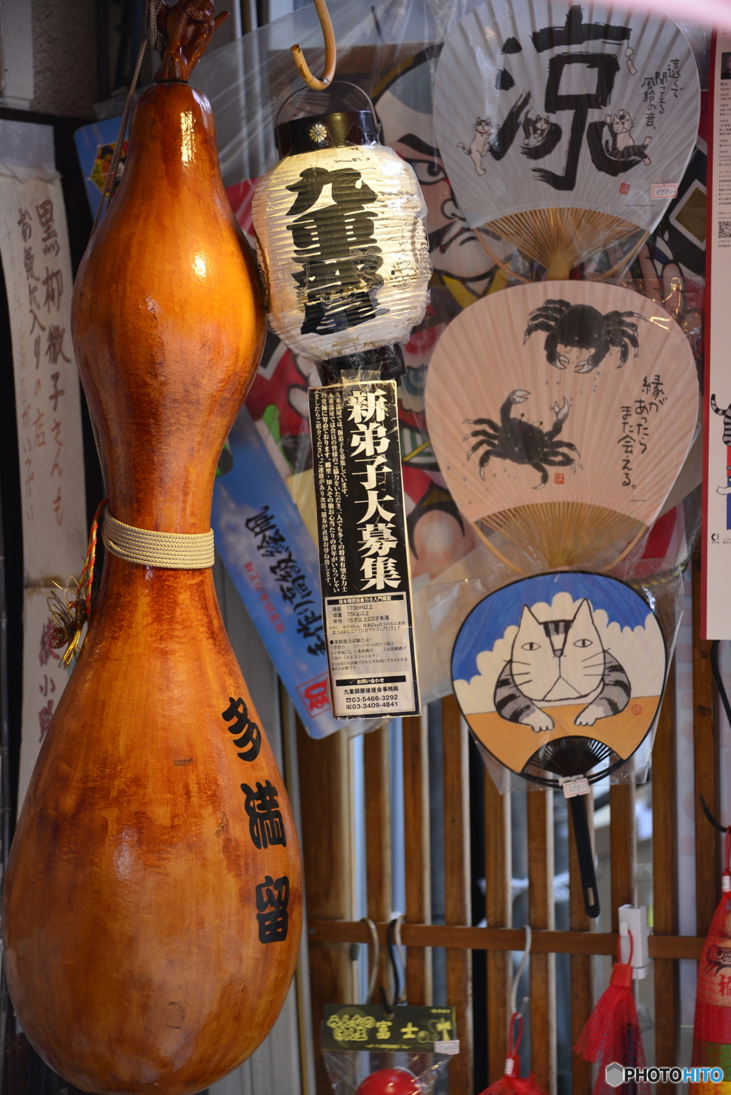 相撲界もなんだかなぁ・・・