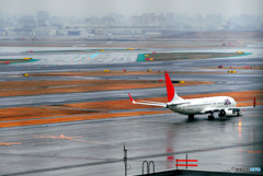 雨の空港も良いものだ---③