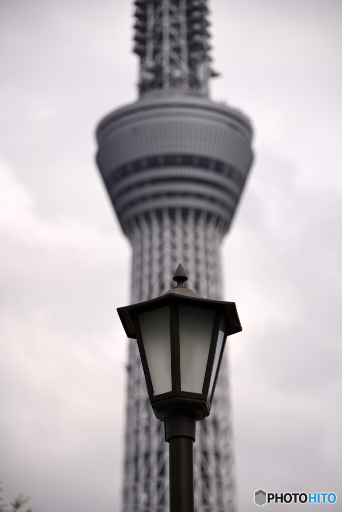比べるまでもない・・か？
