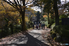 秋の野山---①