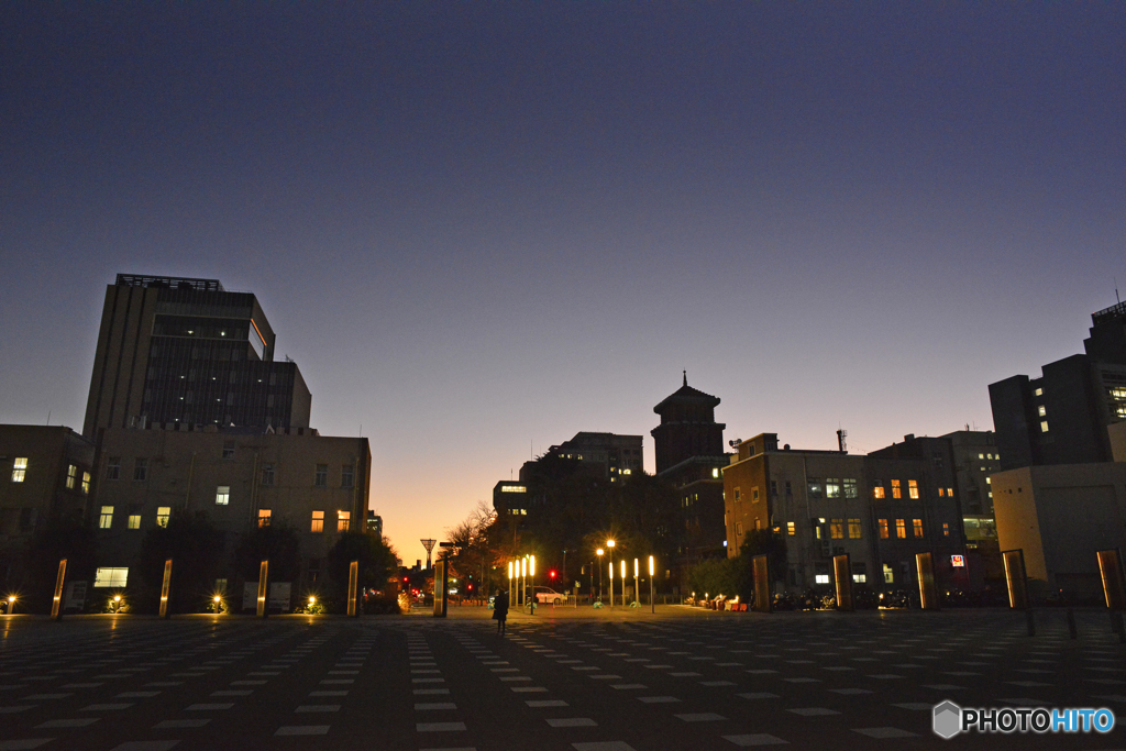 日大大通りの夕景