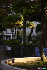 陽が落ちるのが早くなったね