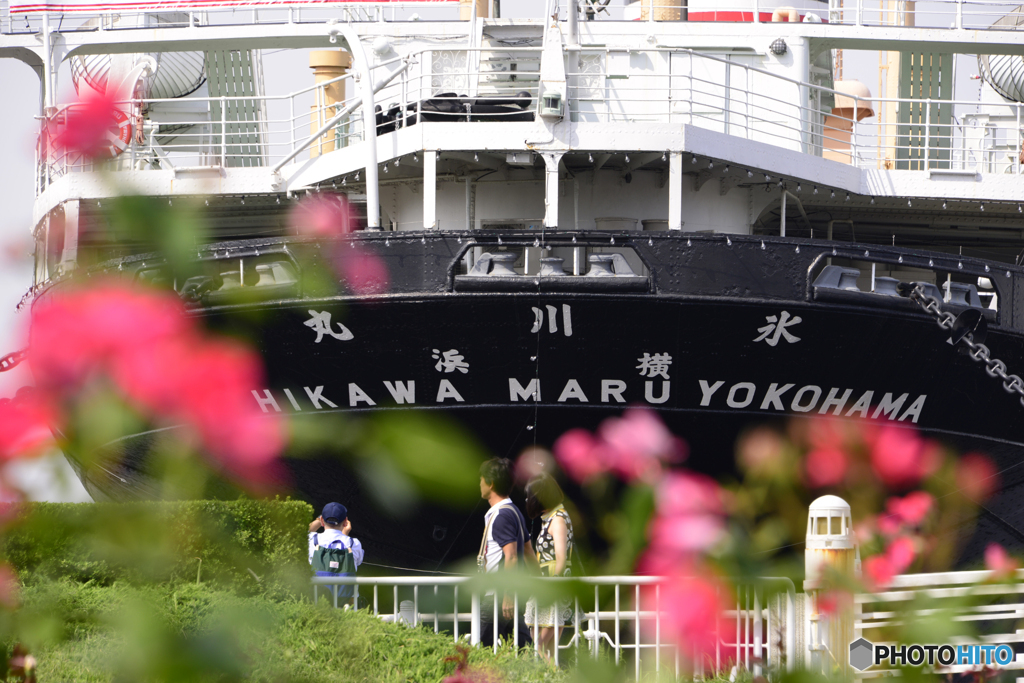 横浜某日----①