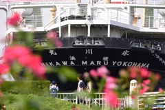横浜某日----①