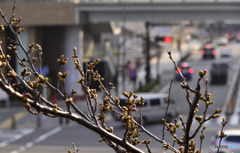 小春日和---④