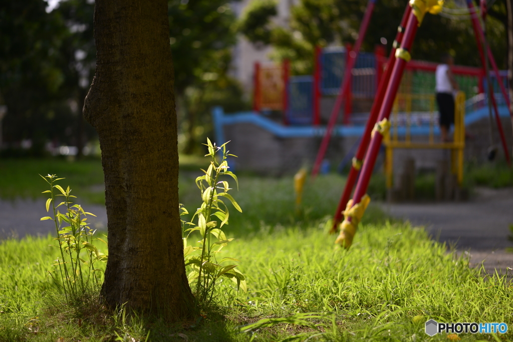 暇な日に見たもの---②