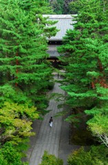 京都・南禅寺にて