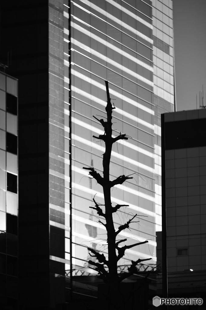 あの日の 「新橋」