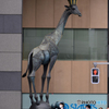 The King of Giraffe